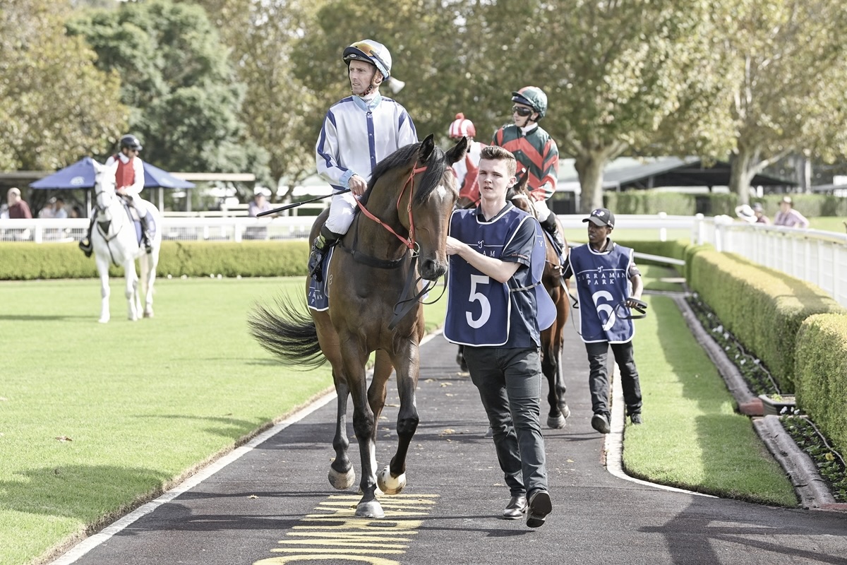 Kingmakers Fernweh News Sydney