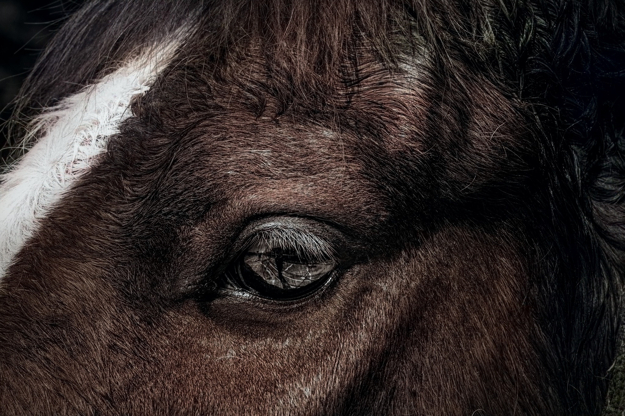 Syndicate Services Kingmakers Syndication Eye Close