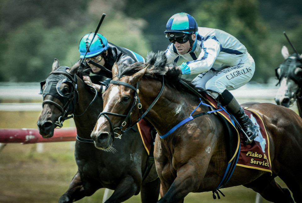 Interplanetary Kingmakers Melbourne Cup Bound Stayer