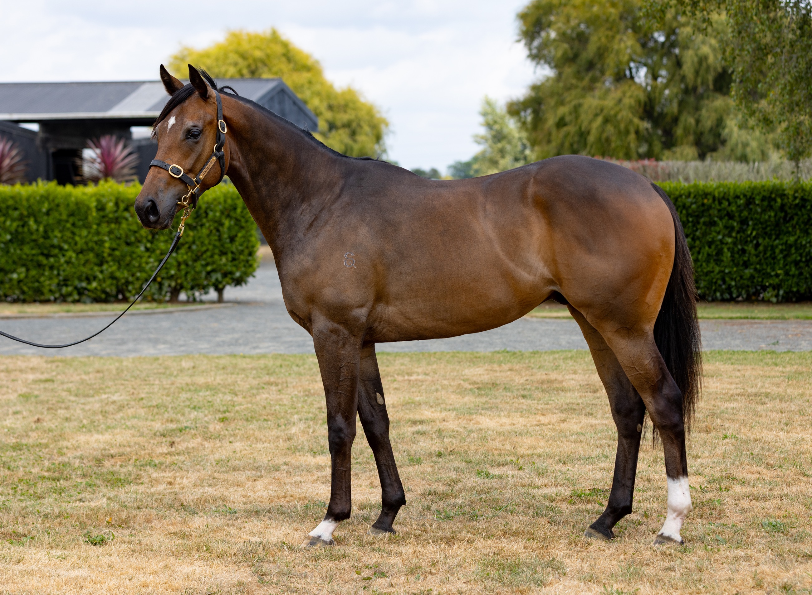 Turn Me Loose Joe Pride Racing Kingmakers 1