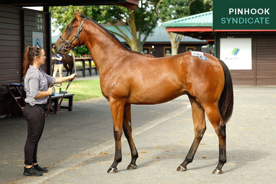 Bivouac Website Photo 1200x800 Pinhook Mini Tag