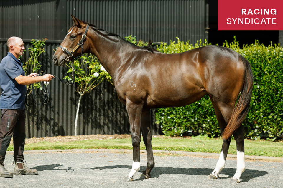 Eminent Website Photo 1200x800 Mini