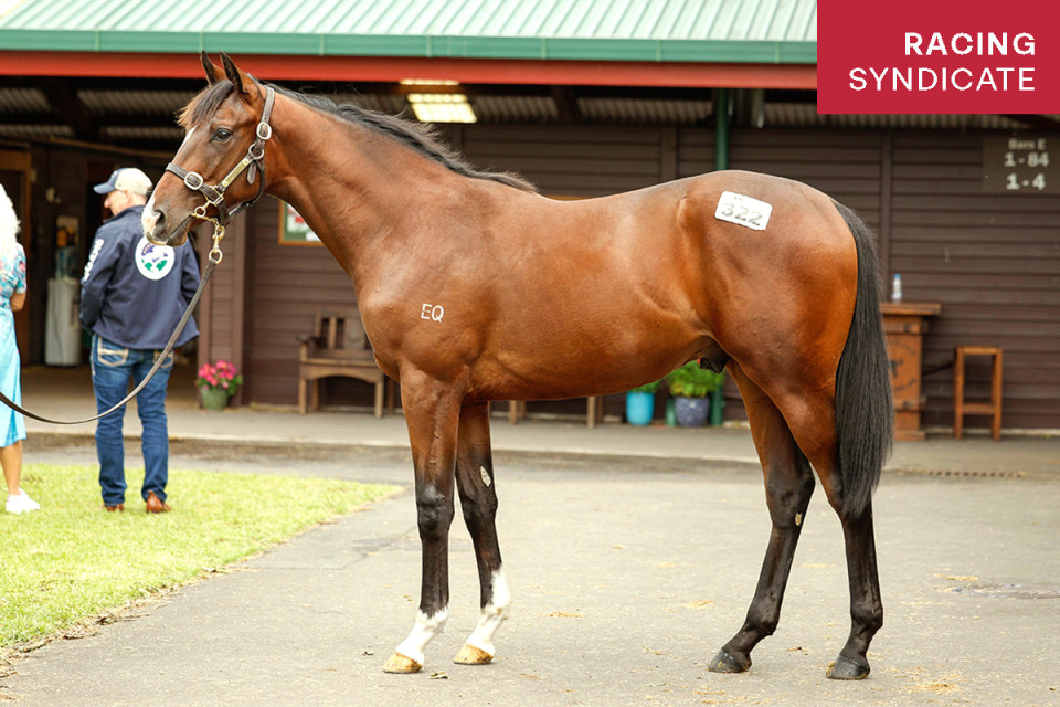 Satono Website Photo 1200x800 Mini