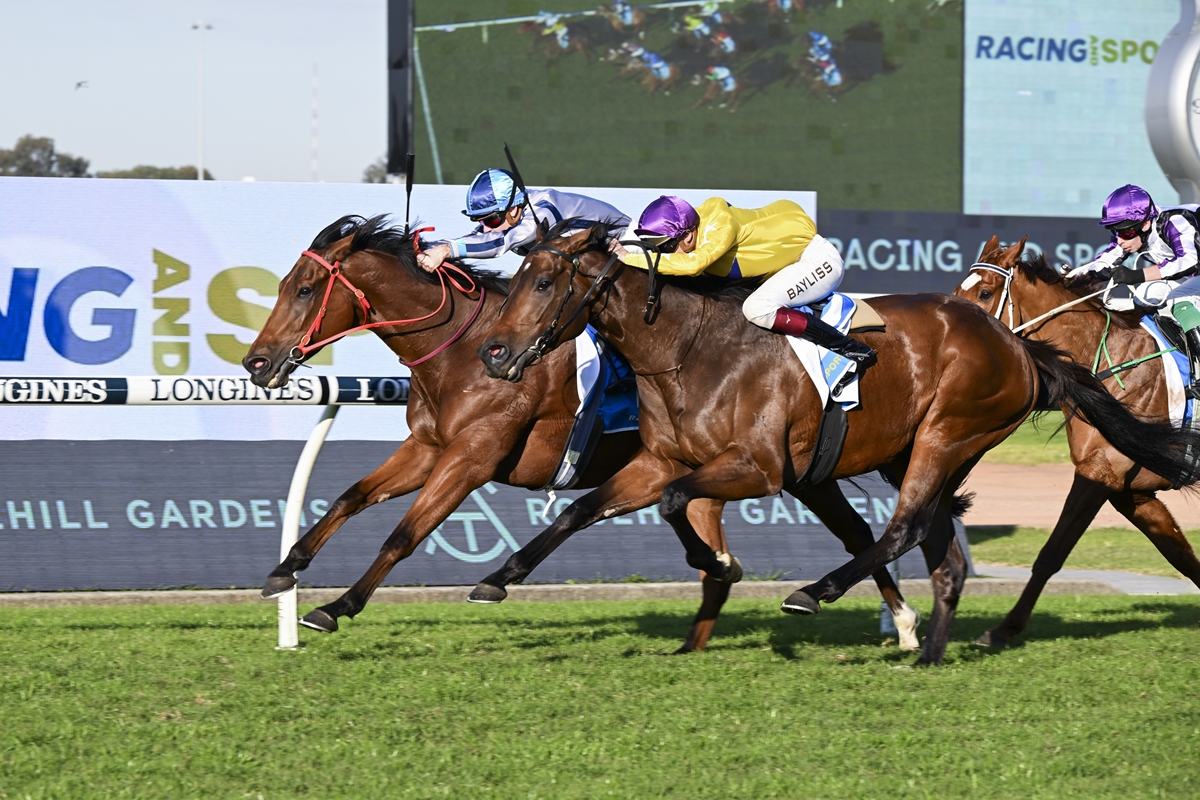 Mach Schnell Kingmakers Syndications Rosehill