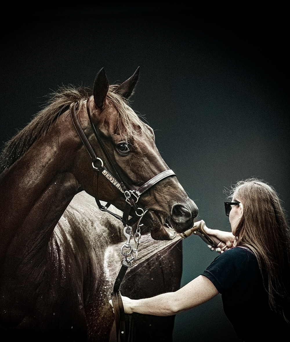 Syndicate Services Kingmakers Syndication Wash Bay