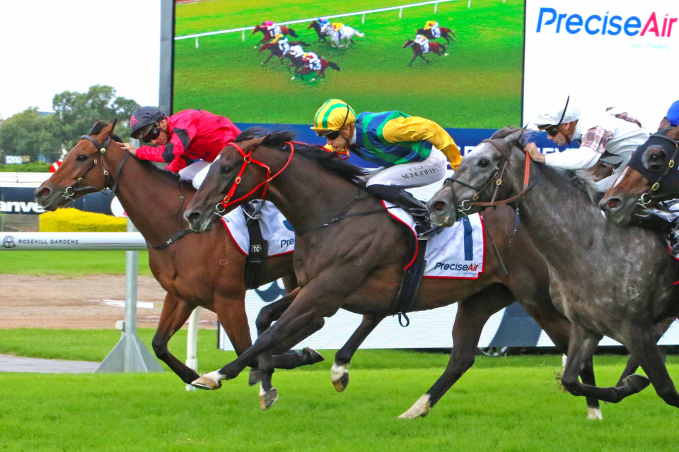 Ceolwulf Neville Sellwod Group 3  Kingmakers Founder Leighton Howl