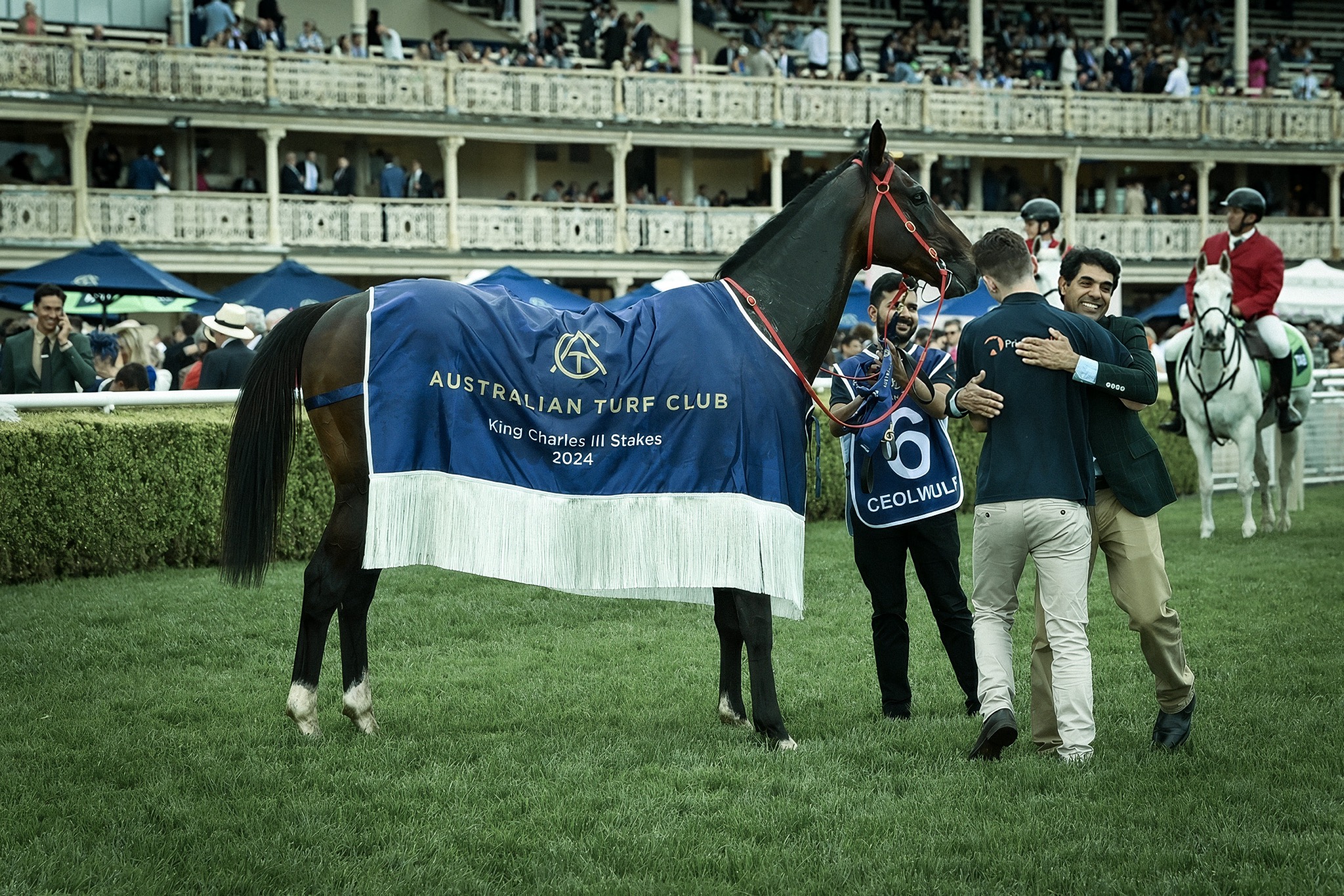 Ceolwulf King Charles Ready to Run 3