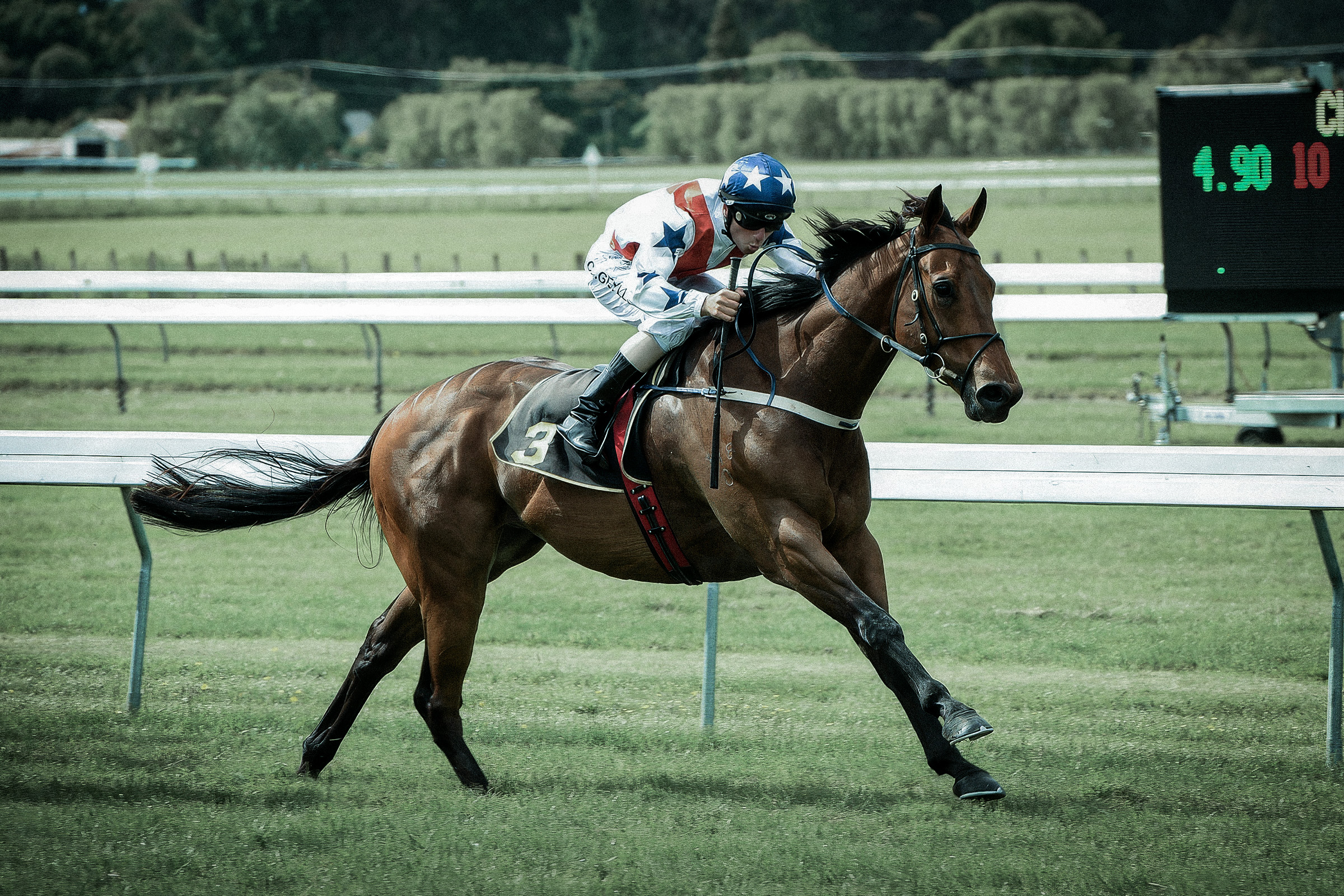 Tomorrowland Kingmakers Journal 1