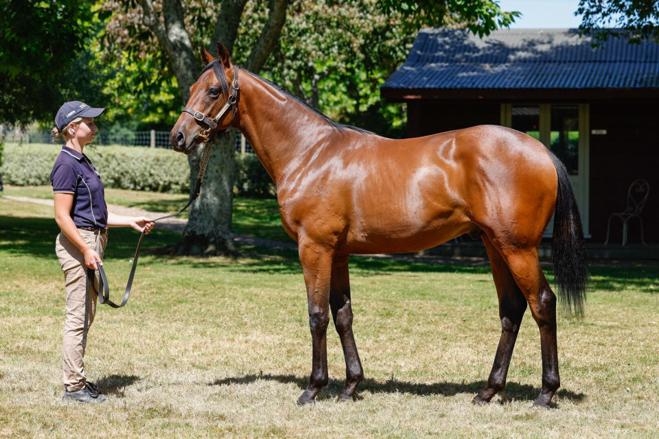 f34f55ba 1a77 4277 8f79 9b9714be1267 (1)